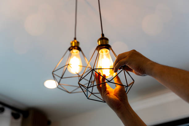 Best Local Electrician Companies  in Mosheim, TN